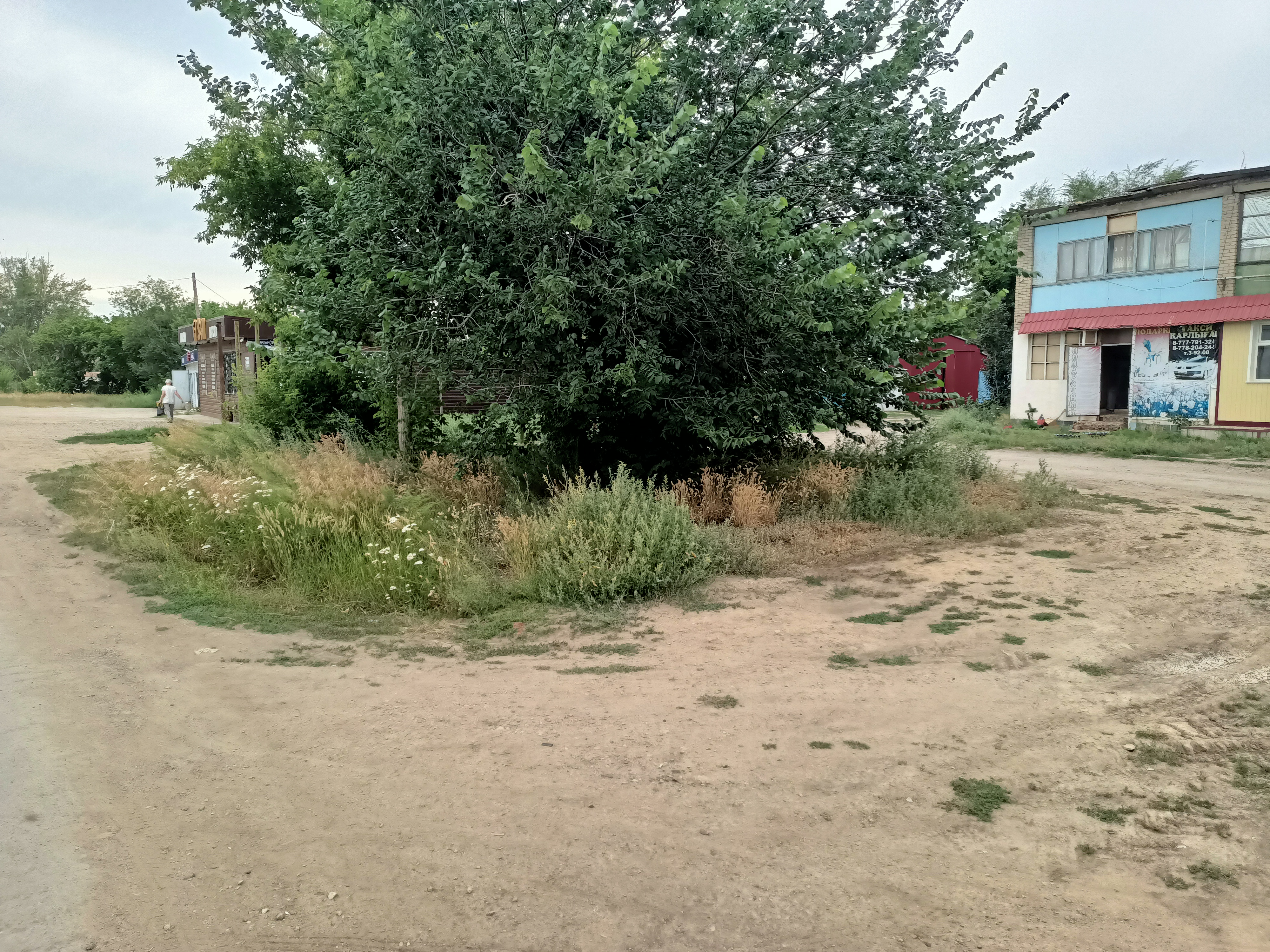 img-1