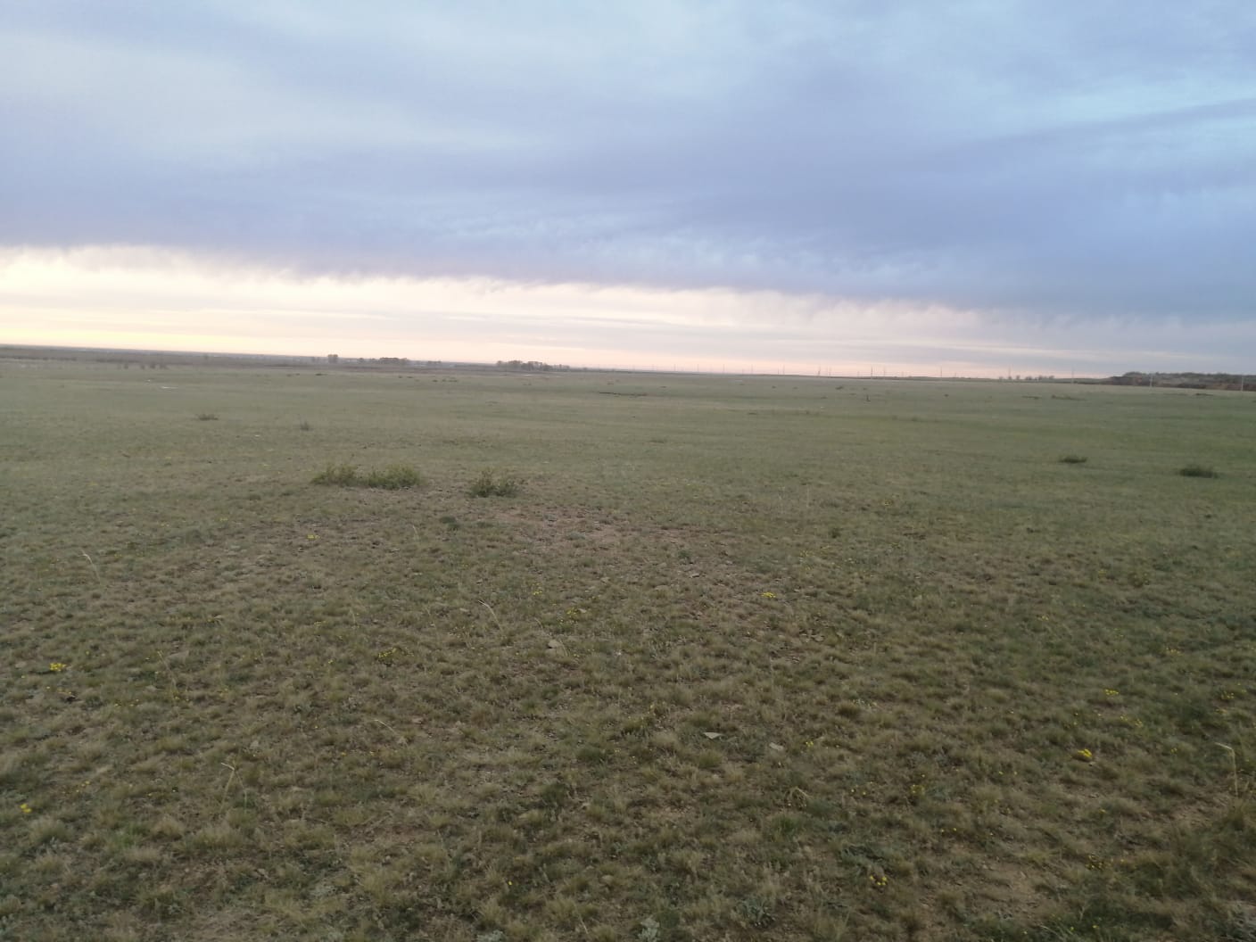 img-0