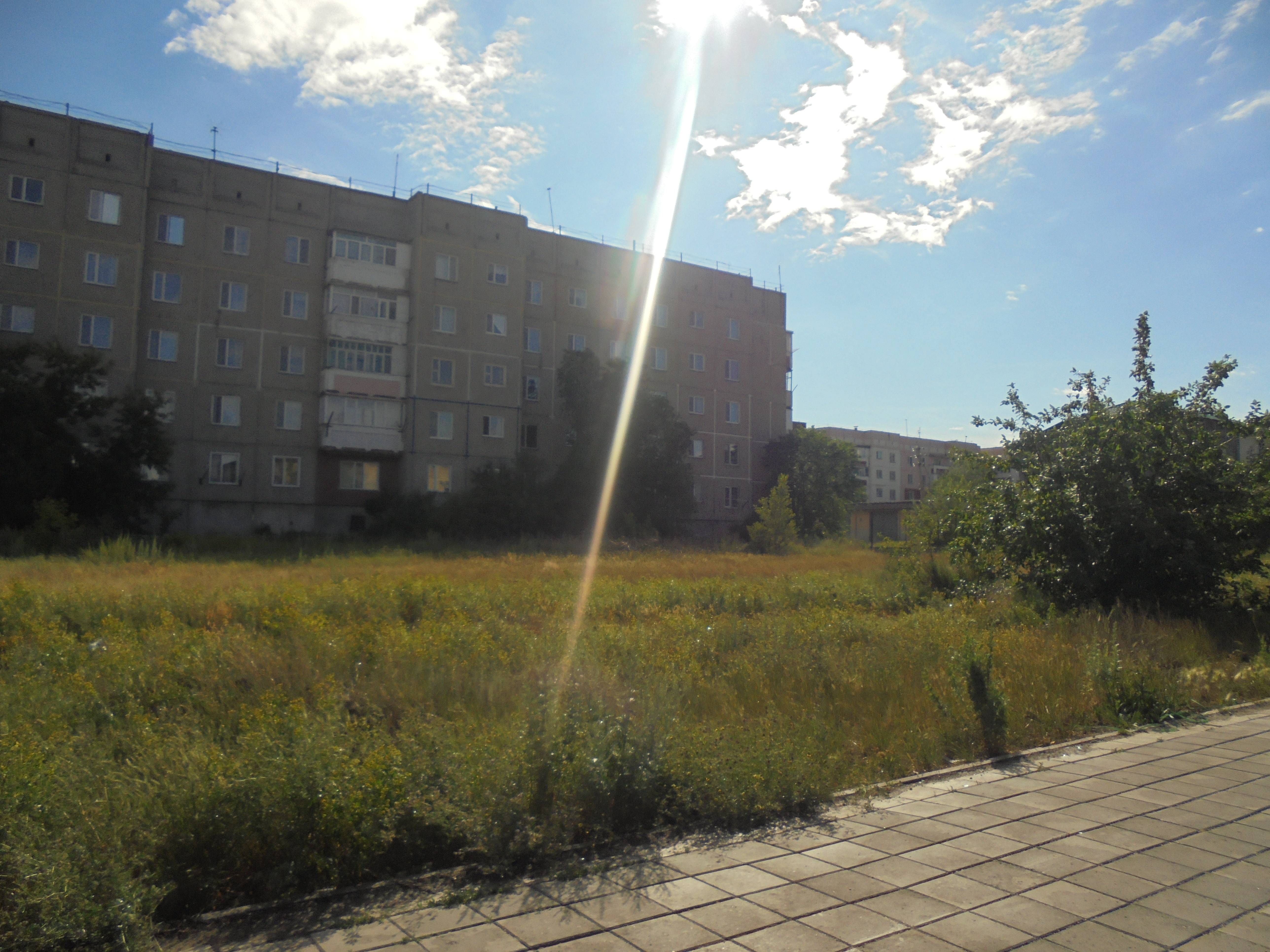 img-4
