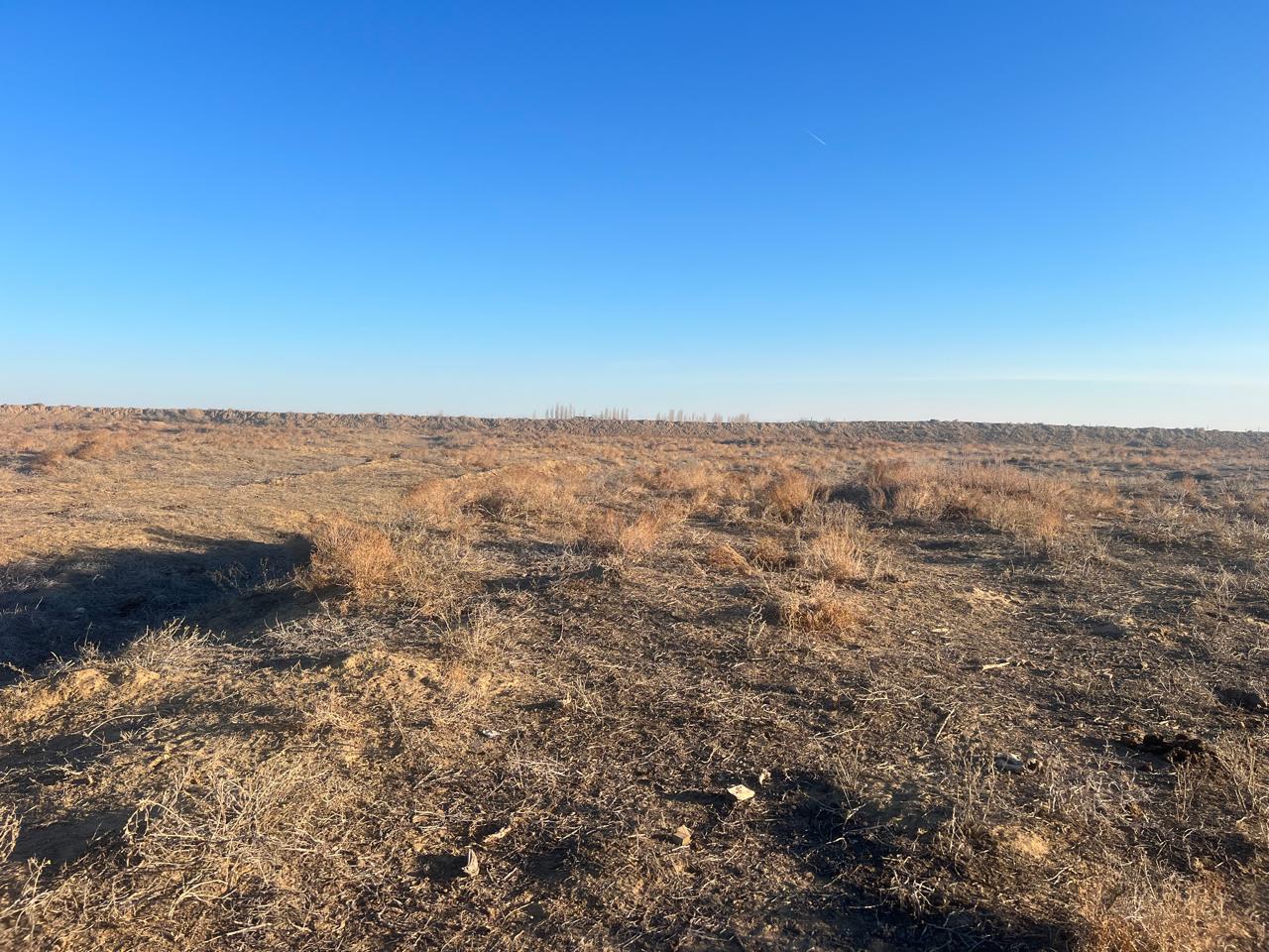 img-3