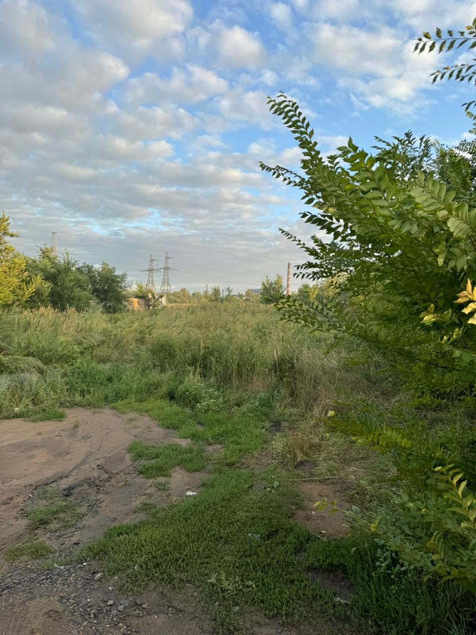 img-0