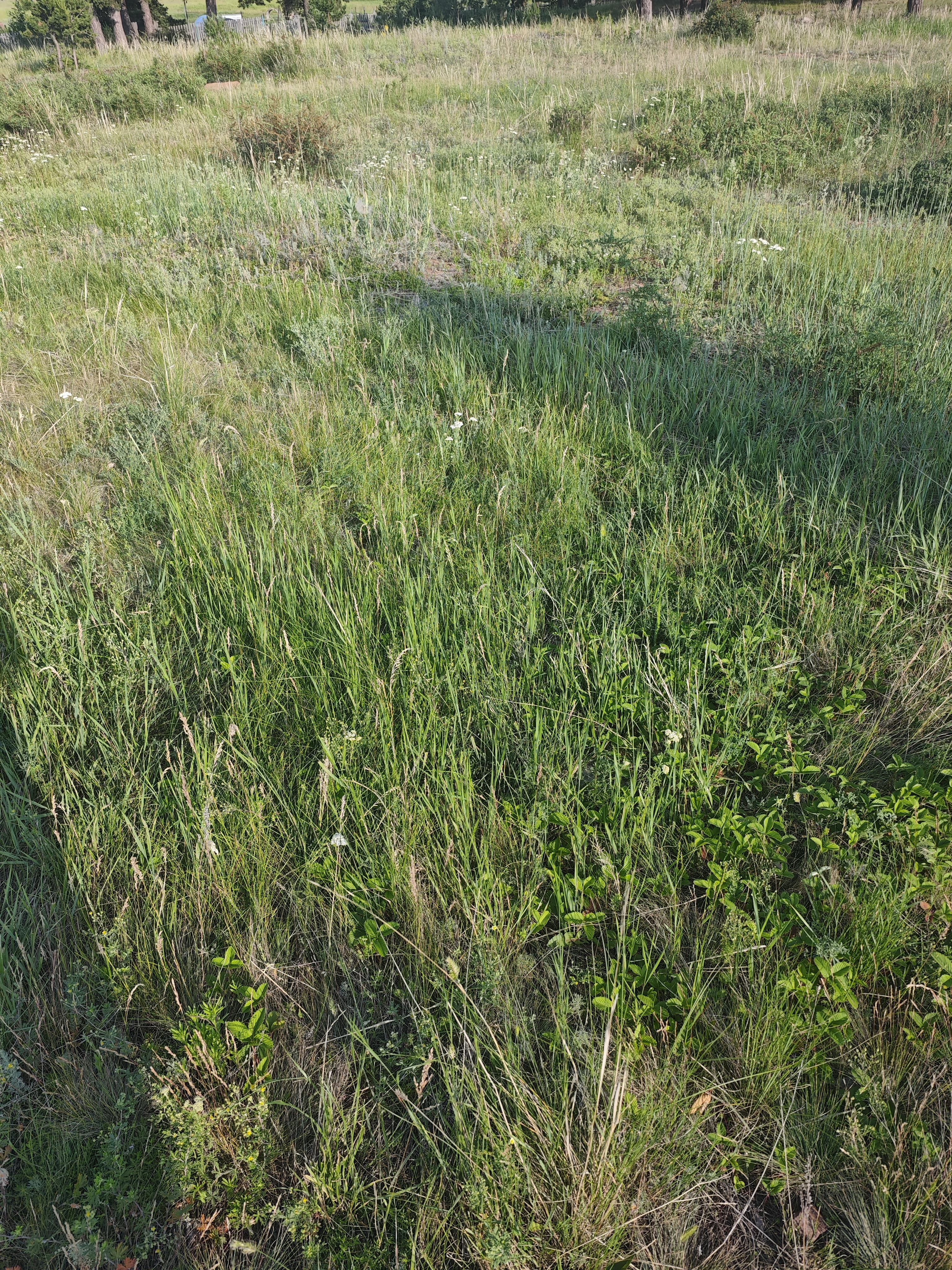 img-3