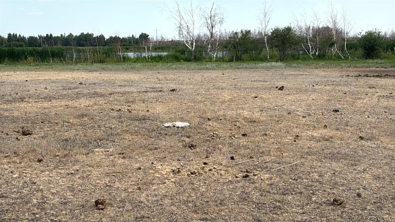 img-1
