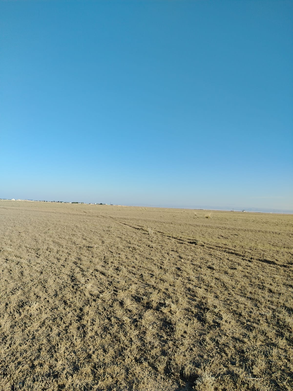 img-2