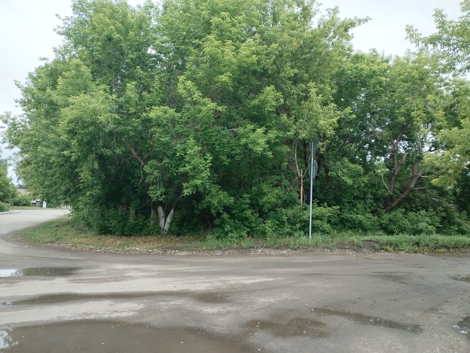 img-0