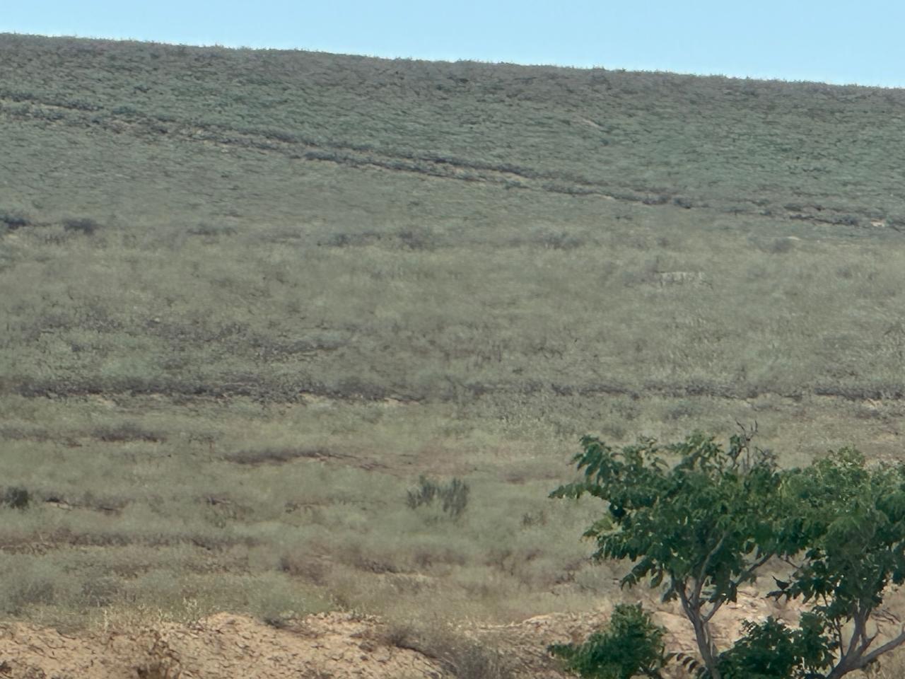 img-2