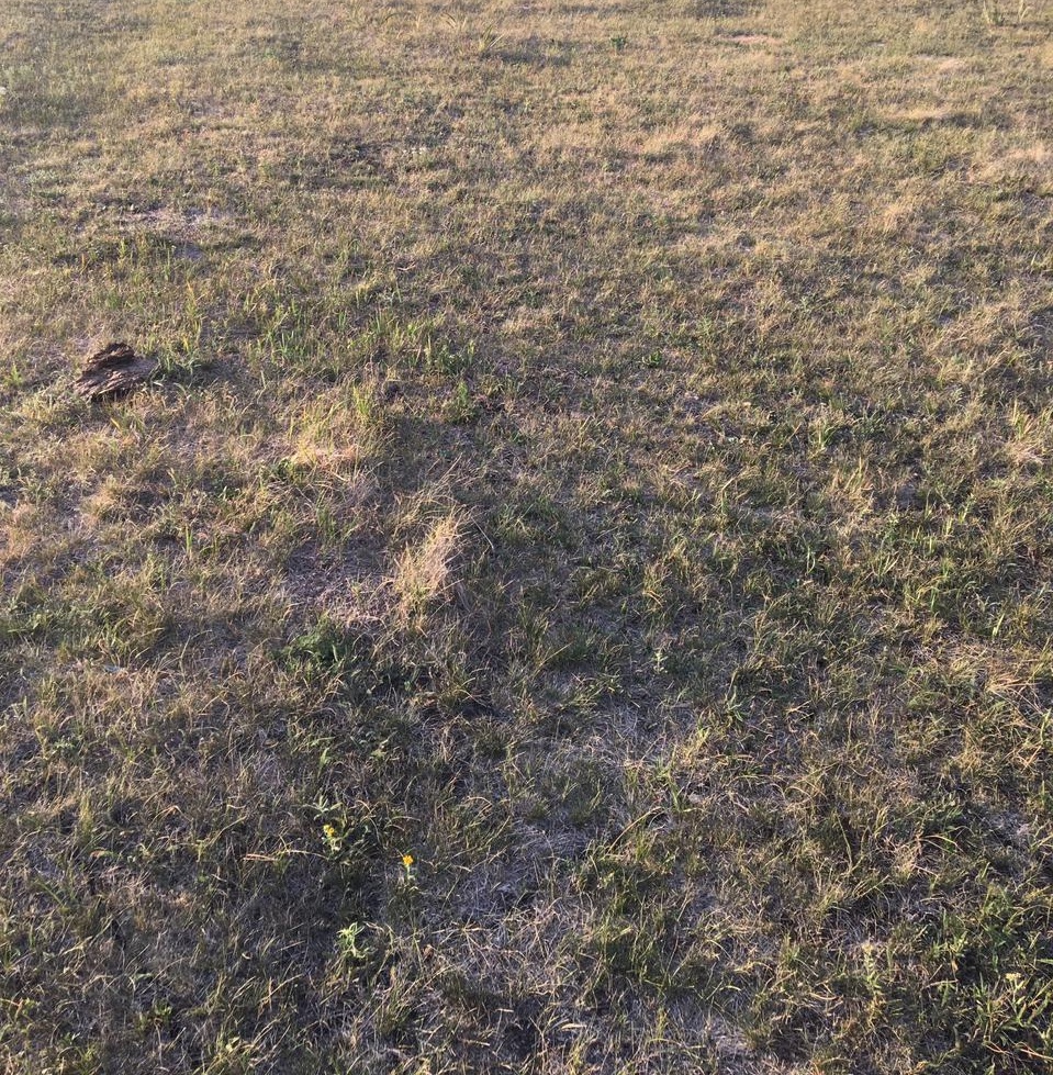 img-2