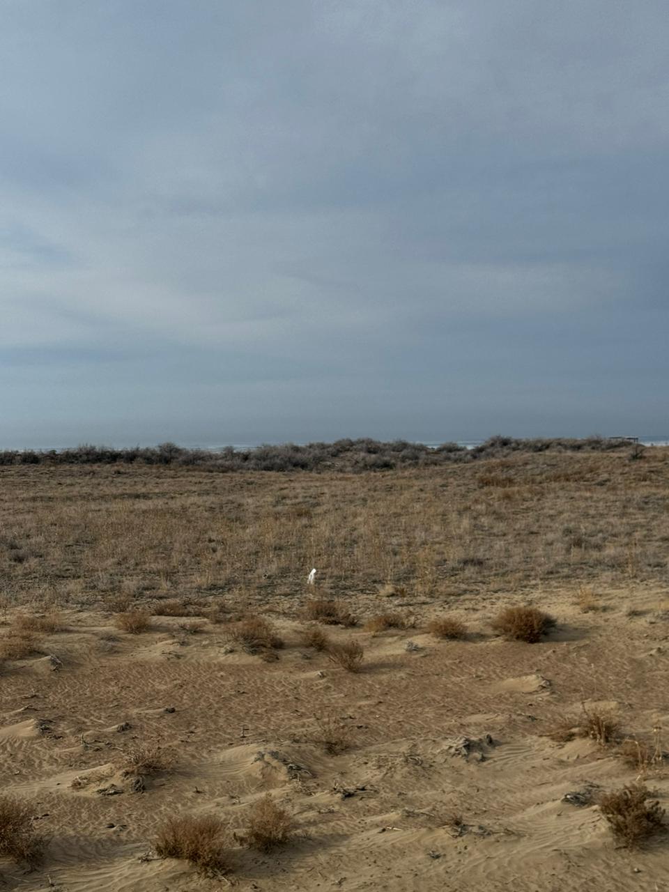 img-2
