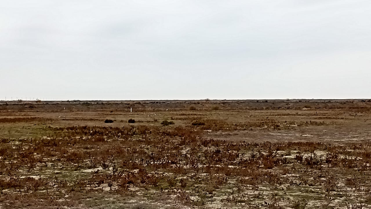 img-0
