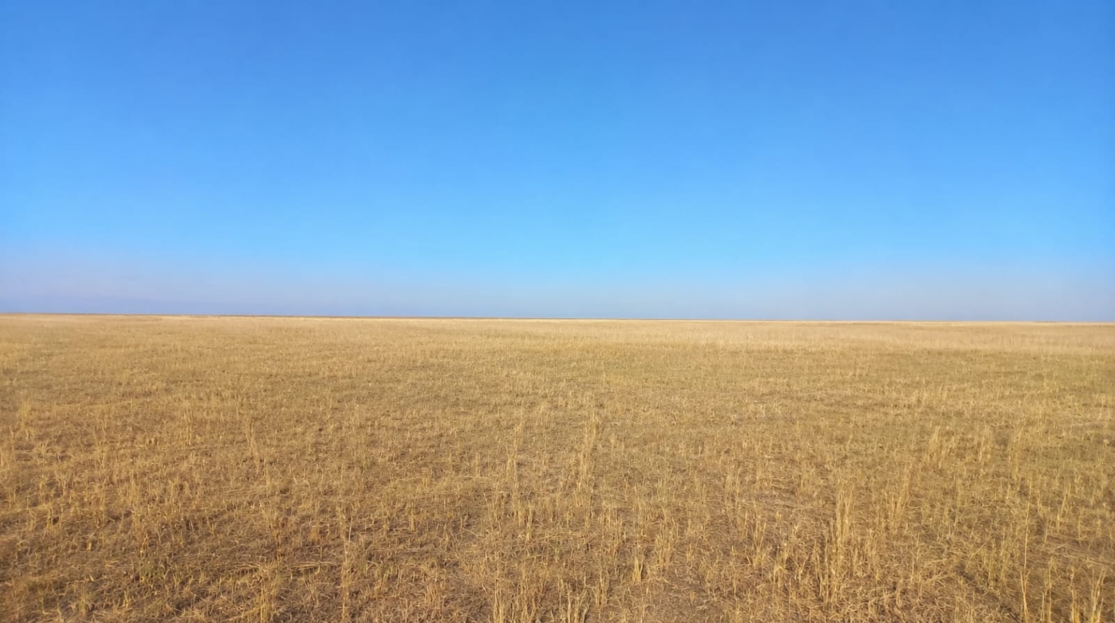 img-2