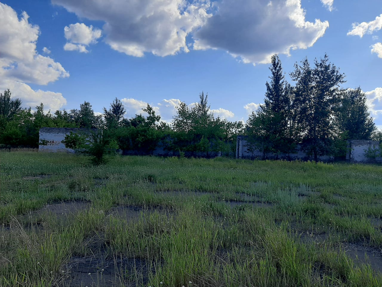 img-1
