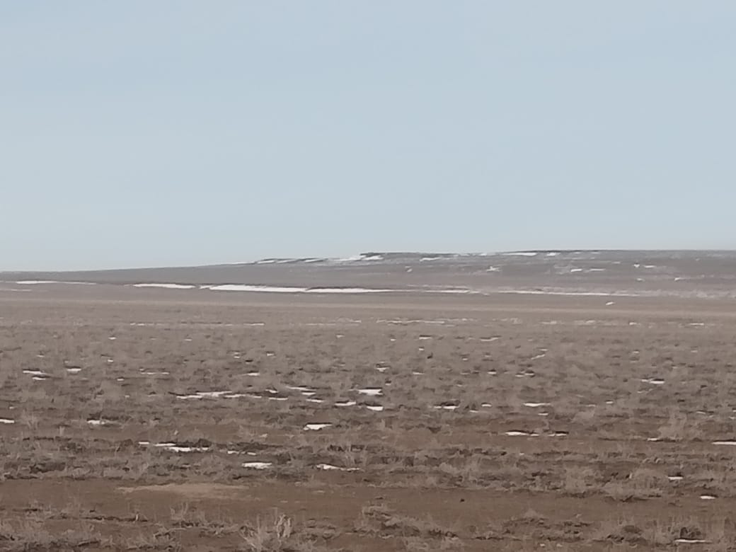 img-0