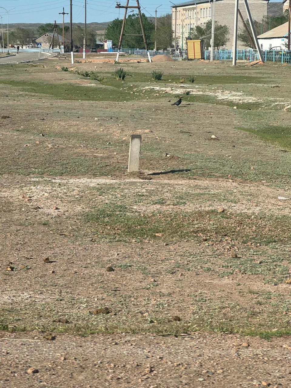 img-0