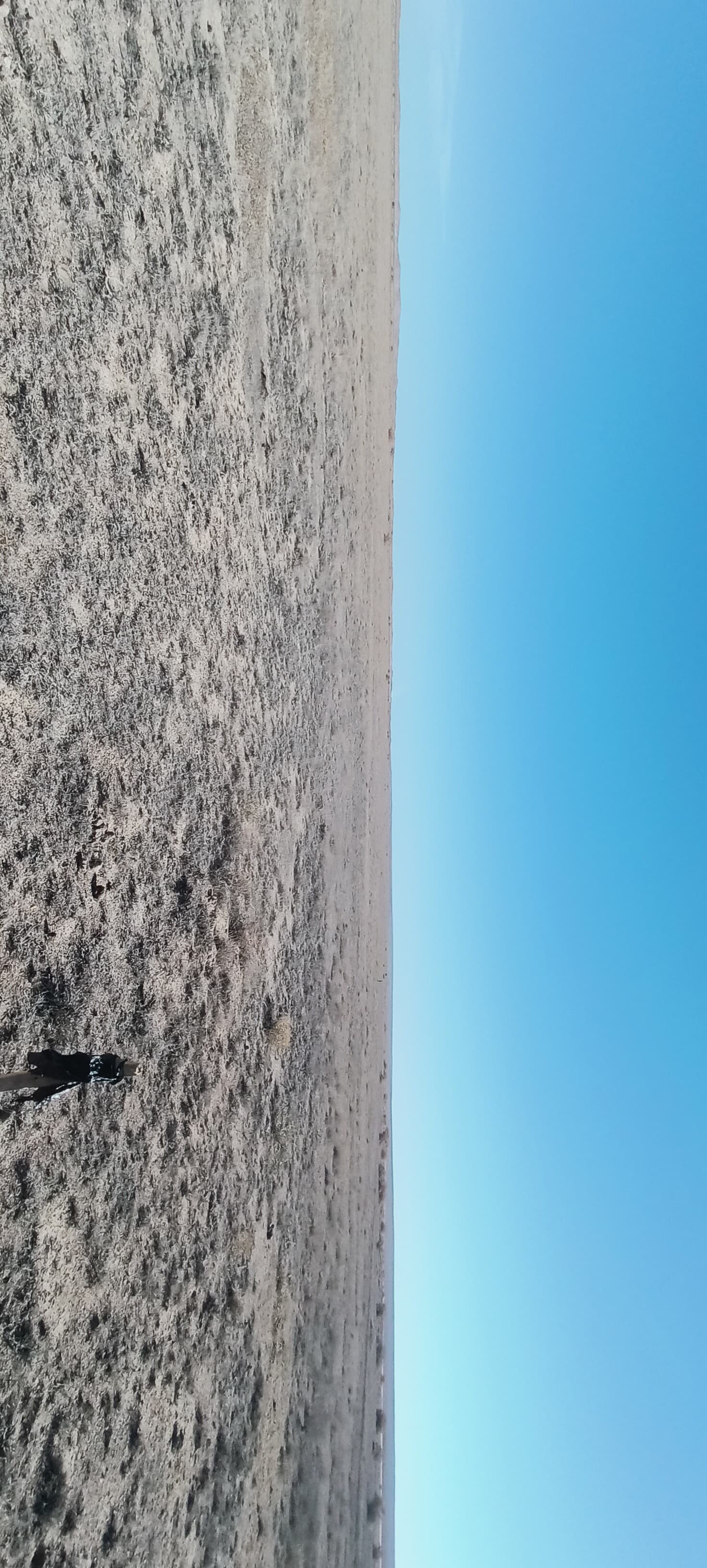 img-2