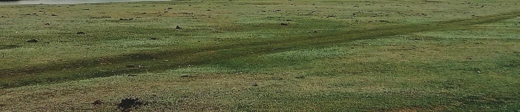 img-1