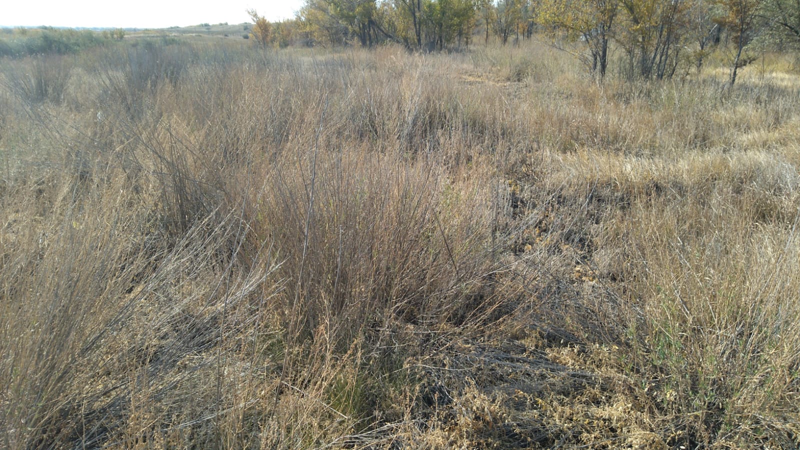 img-3