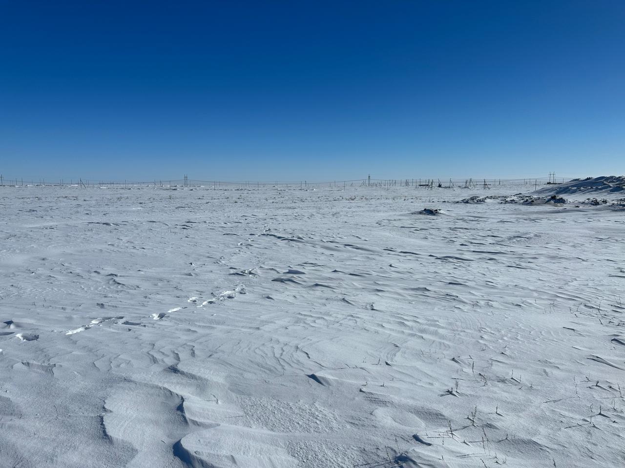 img-2