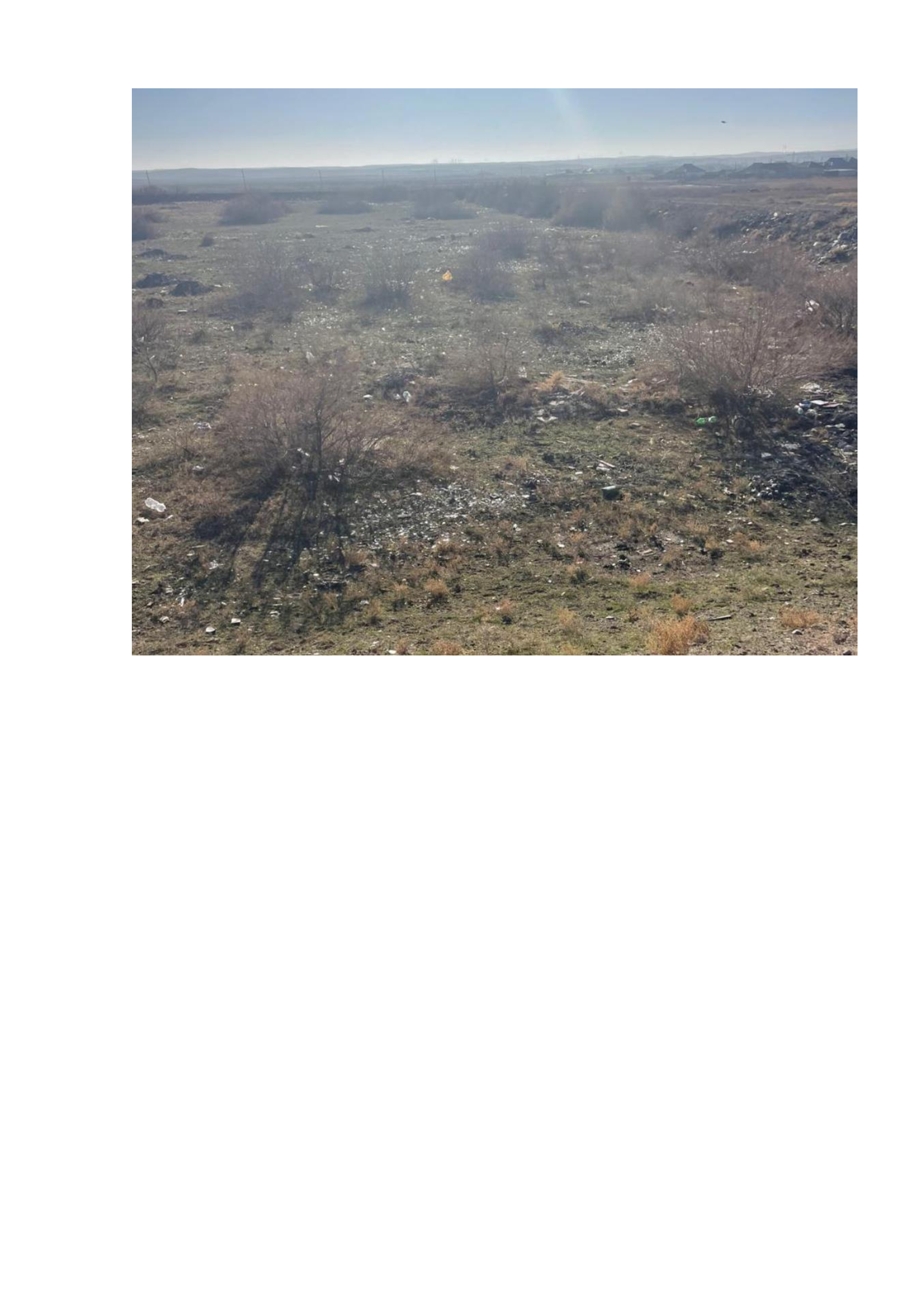 img-2