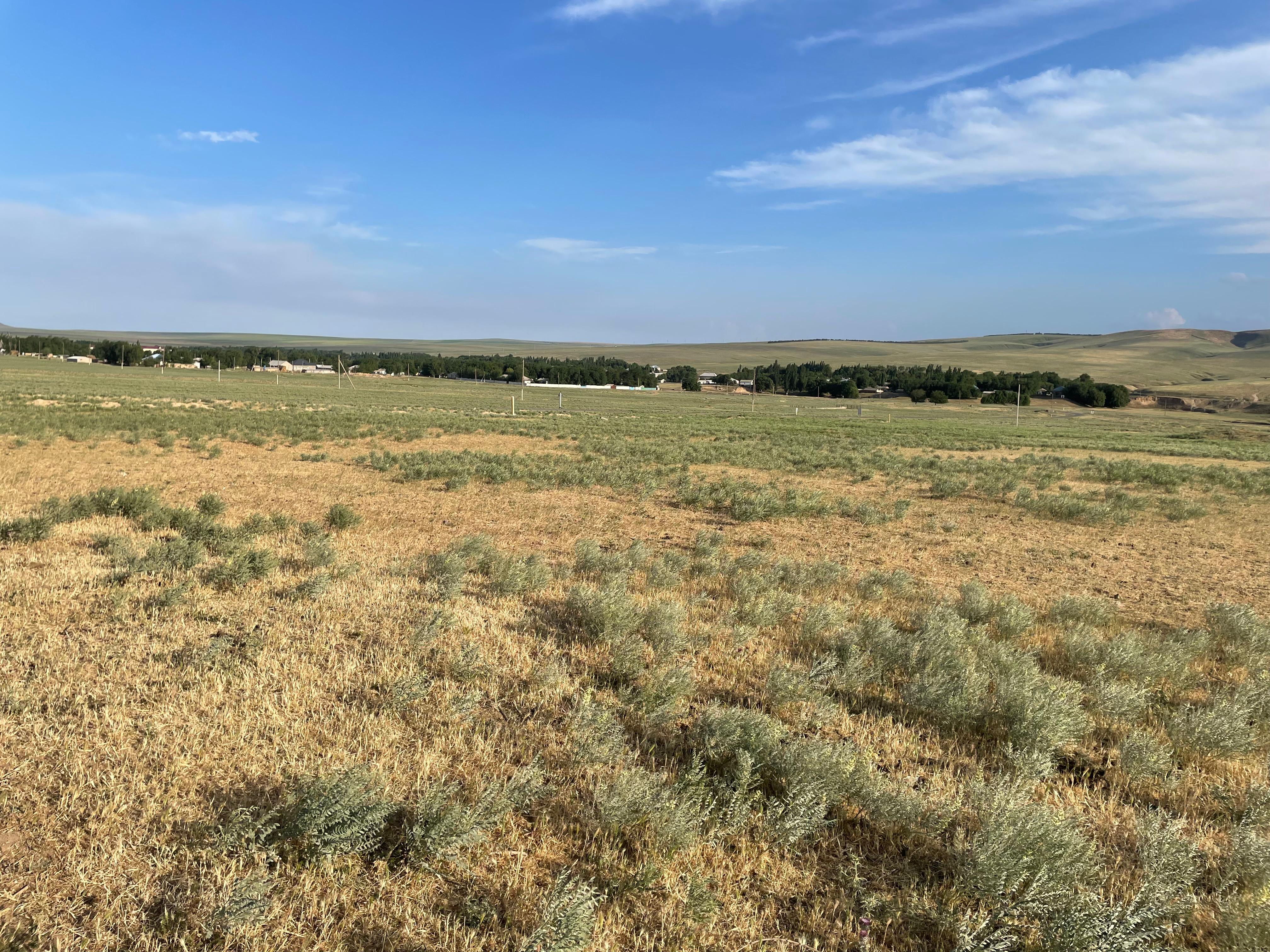 img-1