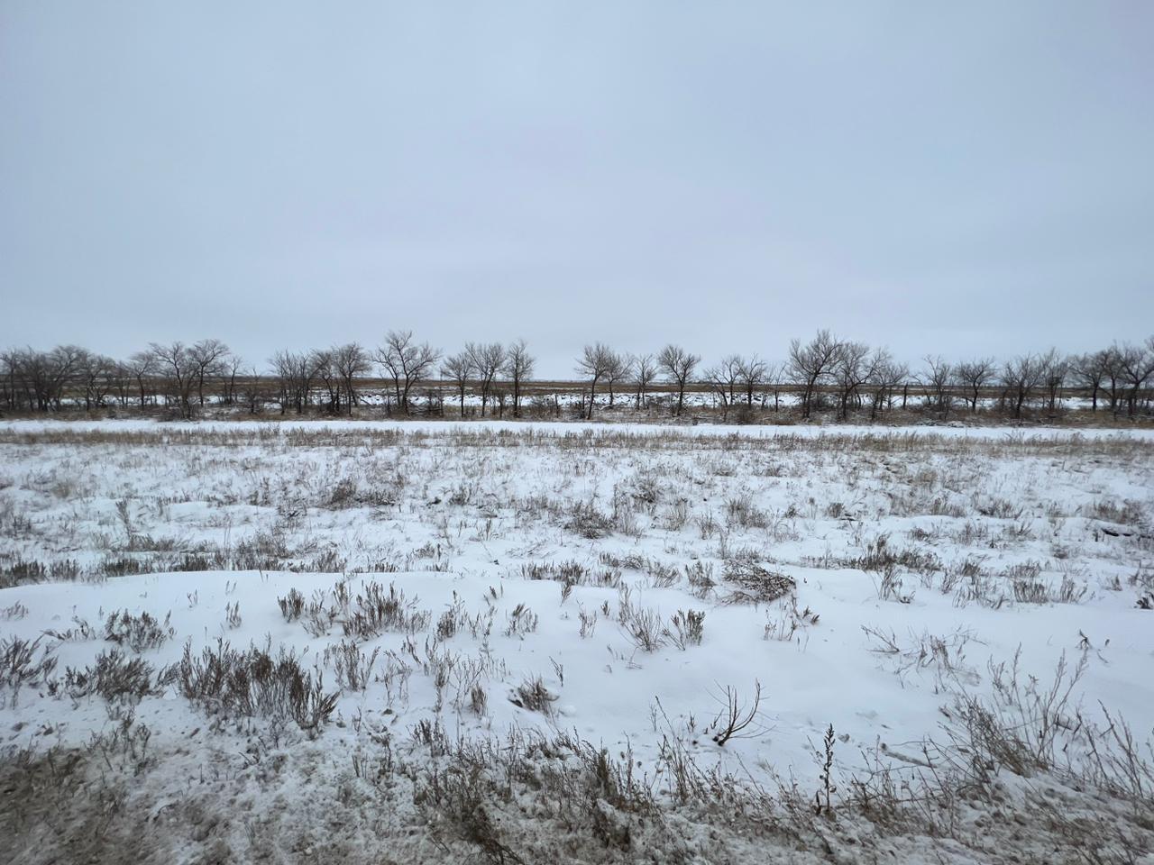 img-2