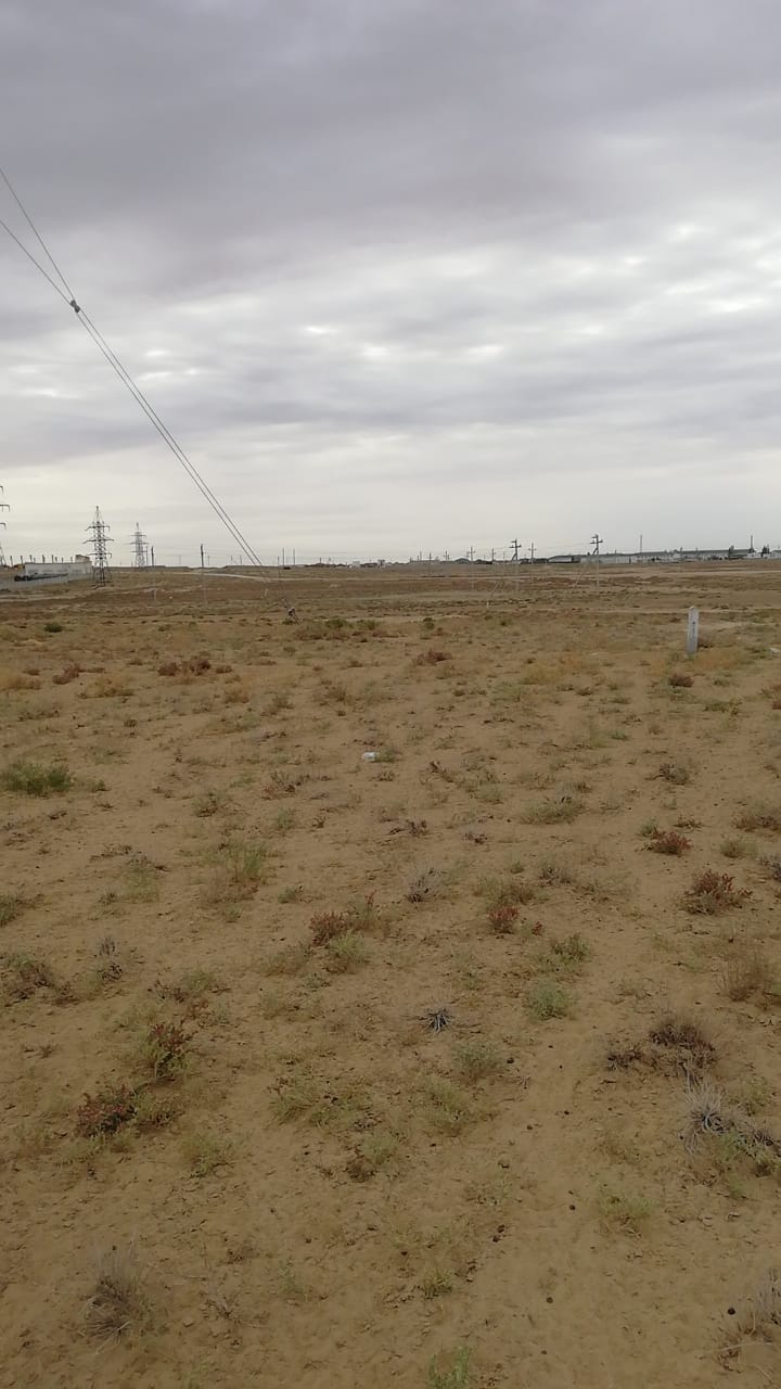 img-3