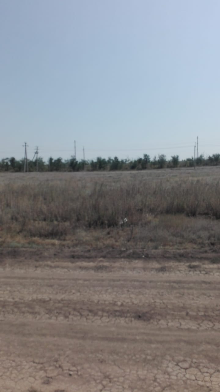 img-2