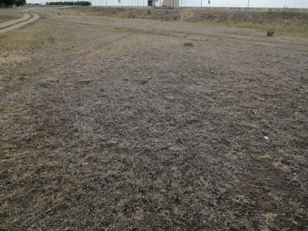 img-2