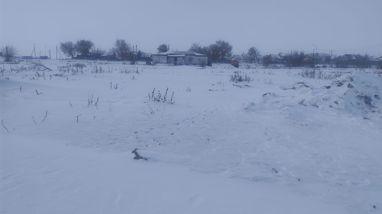 img-2