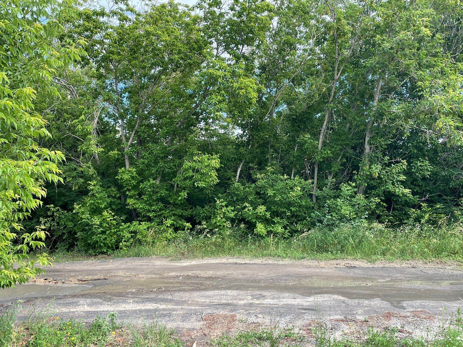 img-2