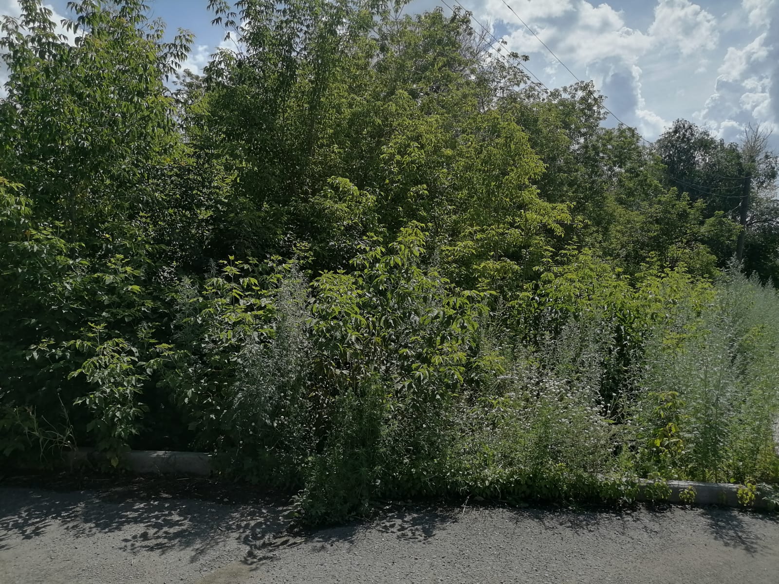 img-4