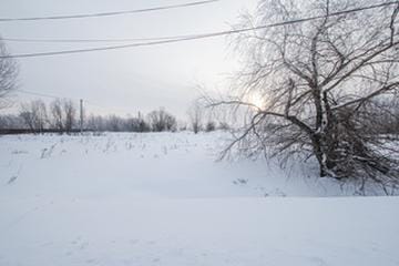 img-2