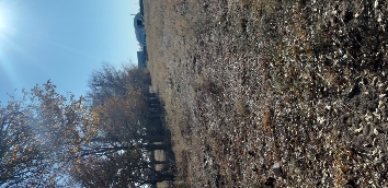 img-2