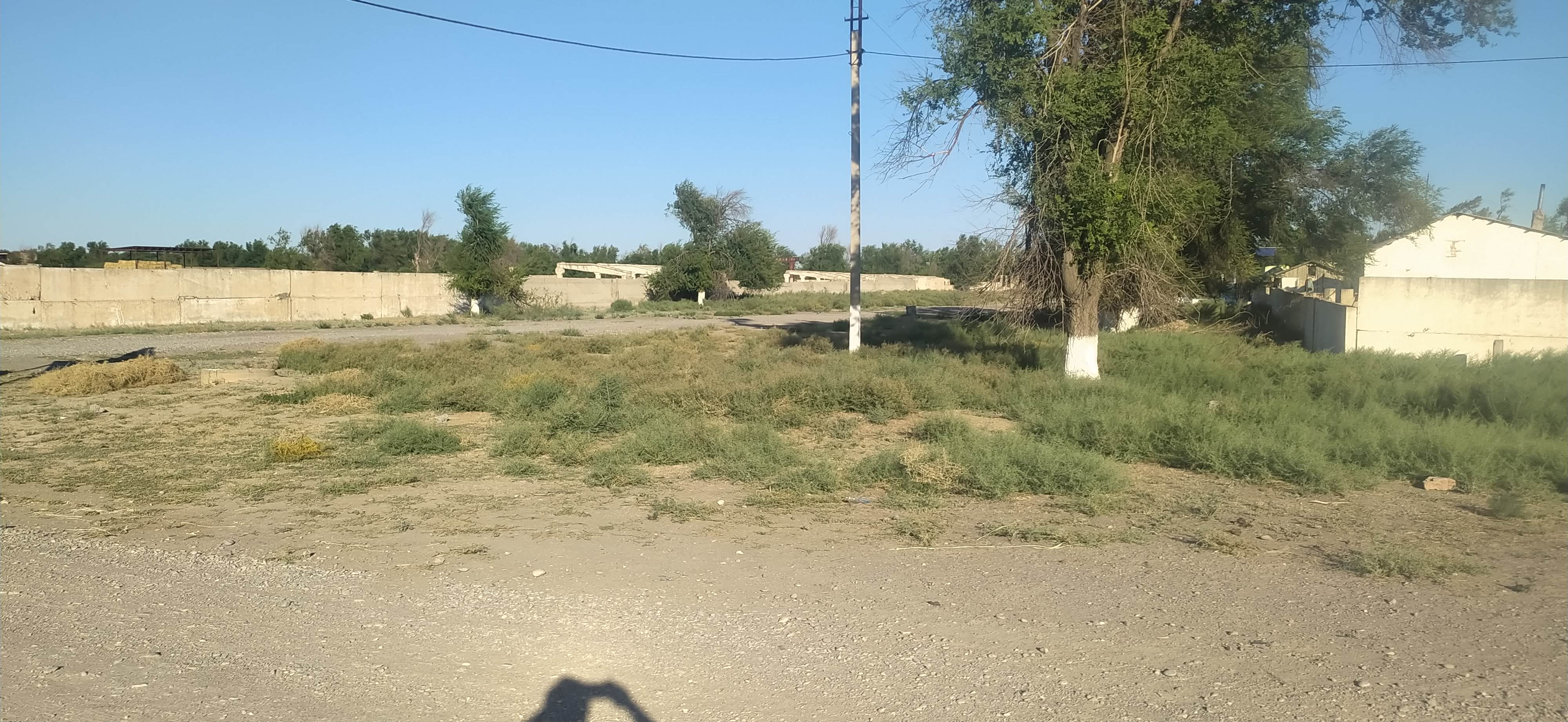 img-2