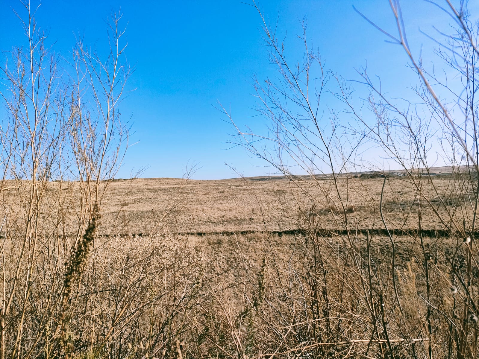 img-4