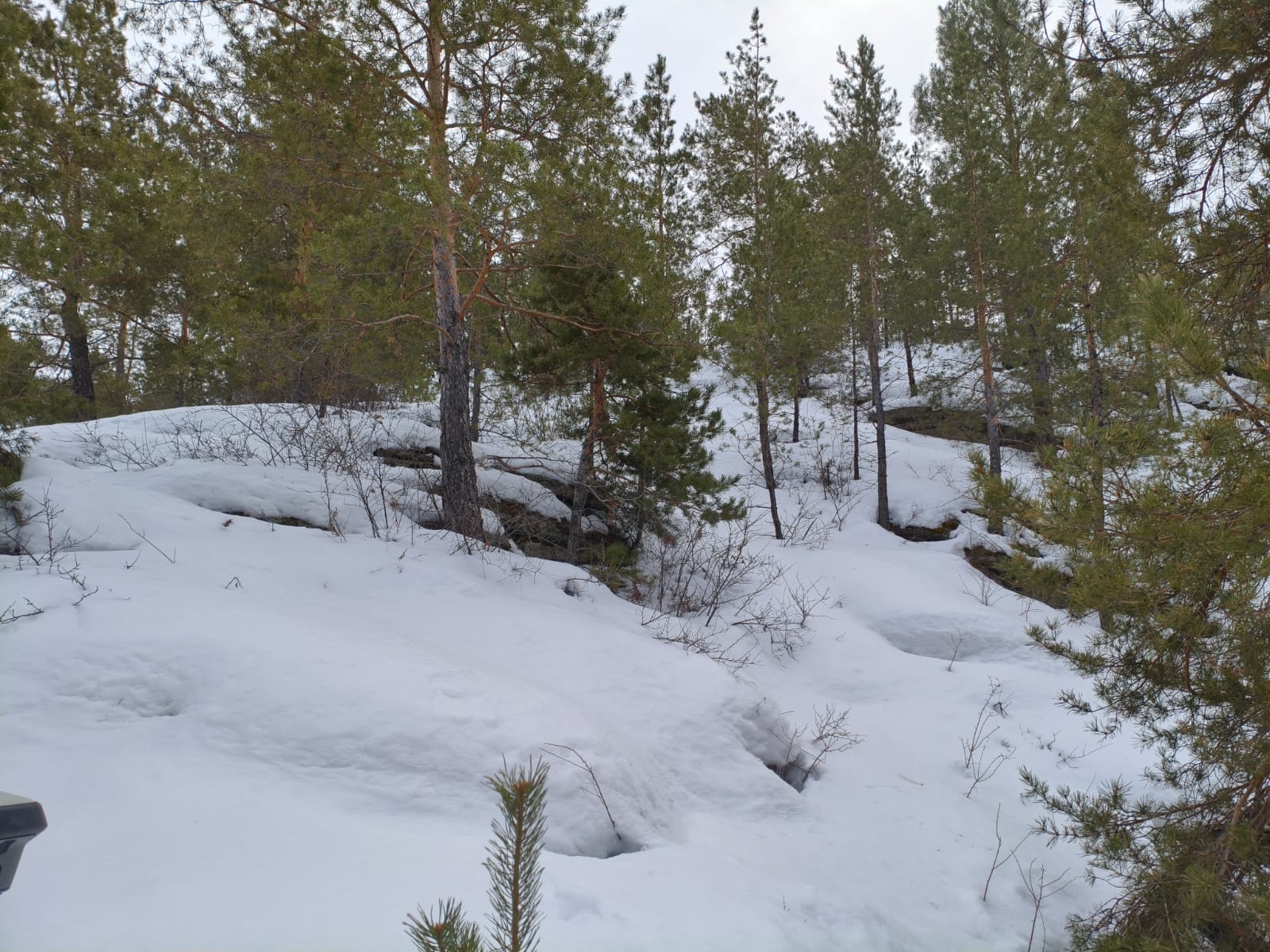 img-2
