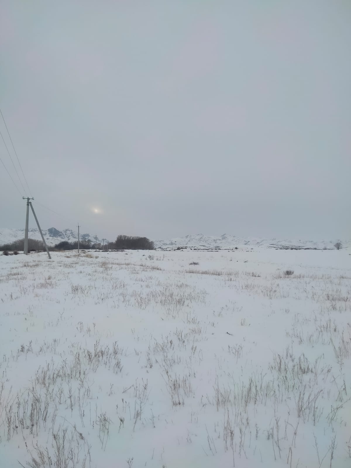 img-2