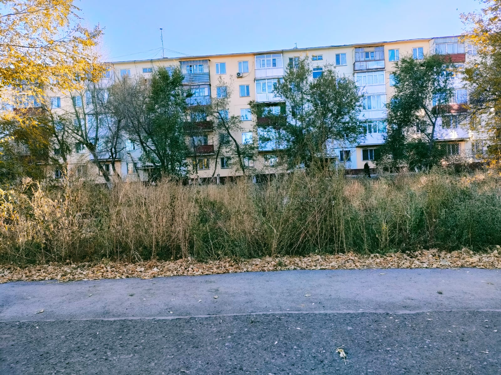 img-4