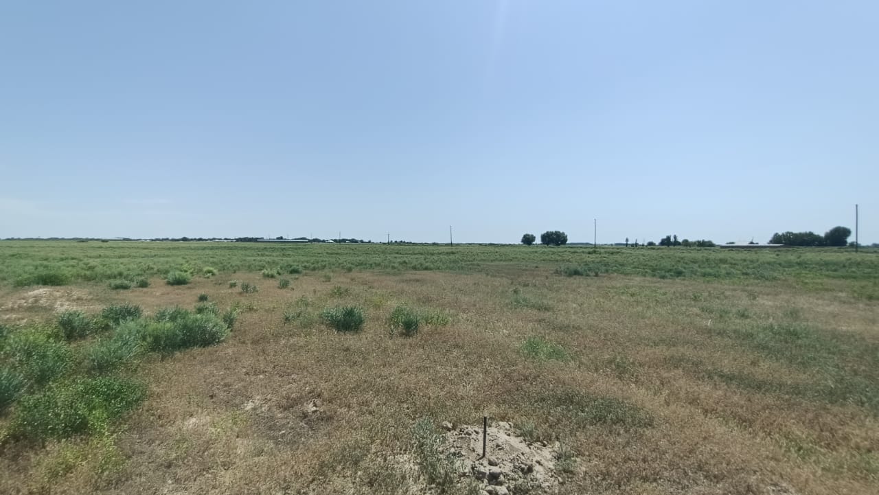img-2
