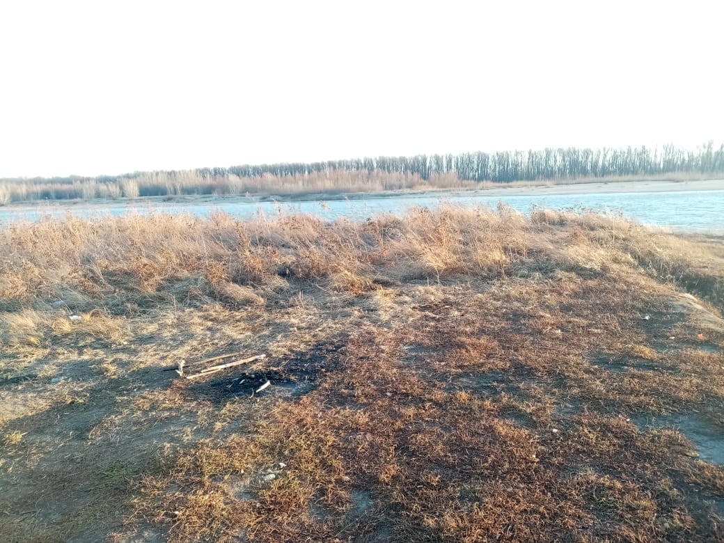 img-7