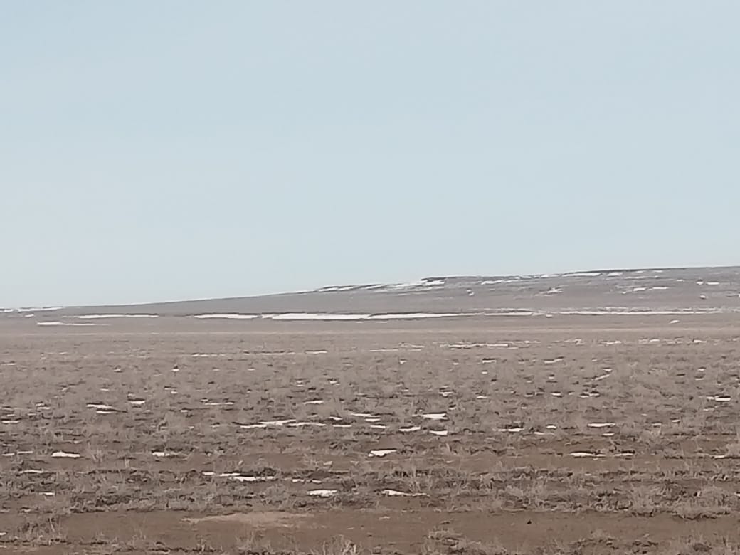 img-2