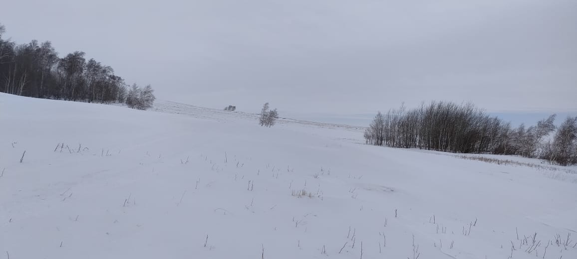 img-6
