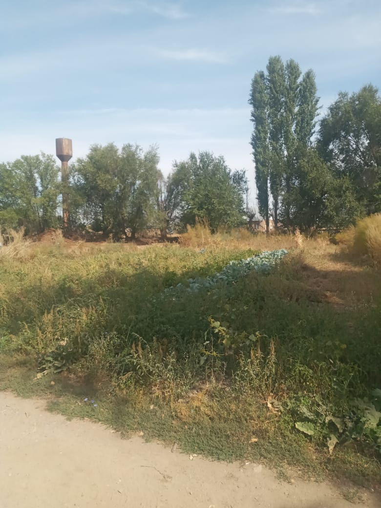 img-2