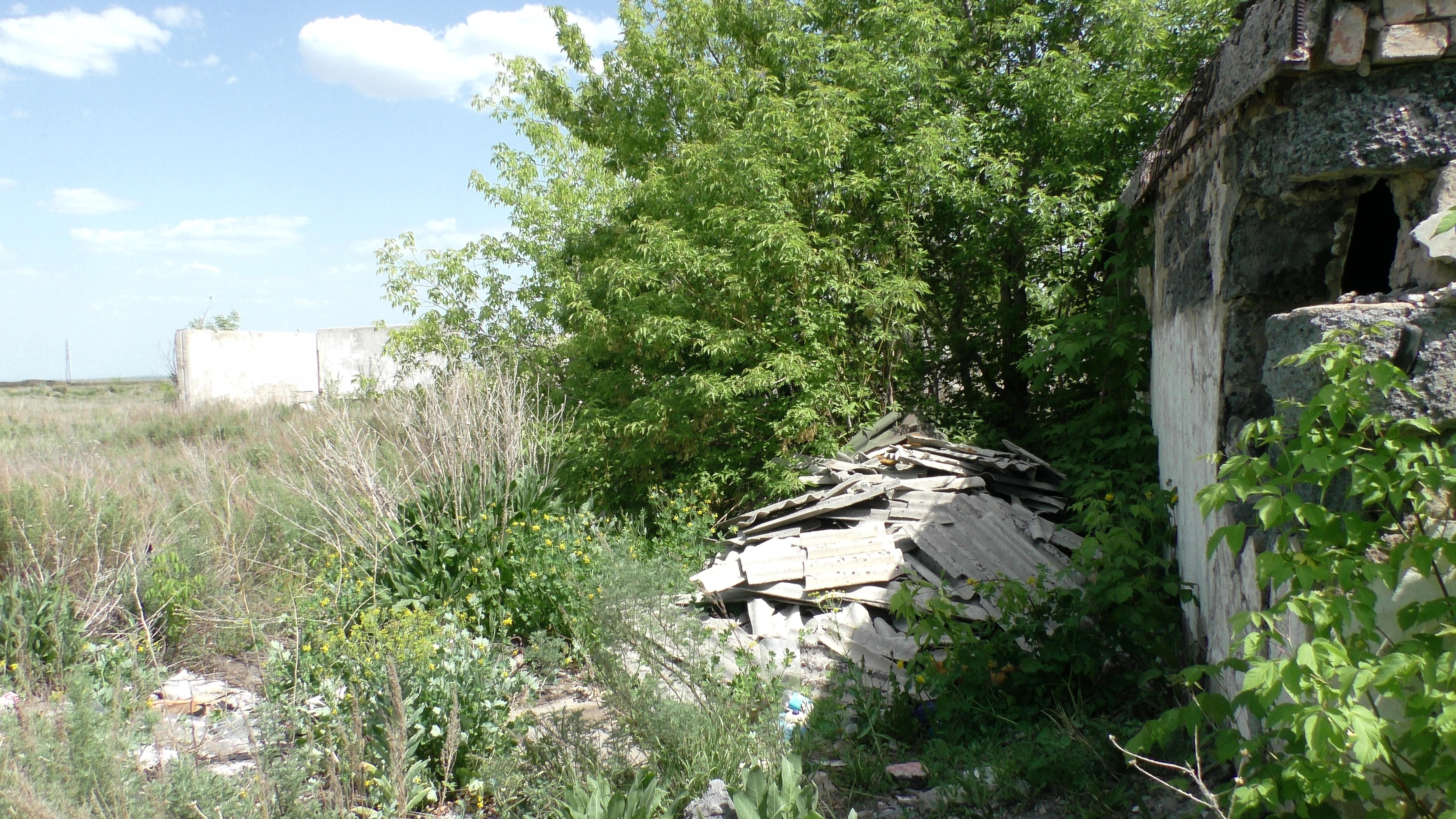 img-4