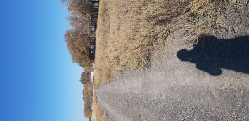 img-3
