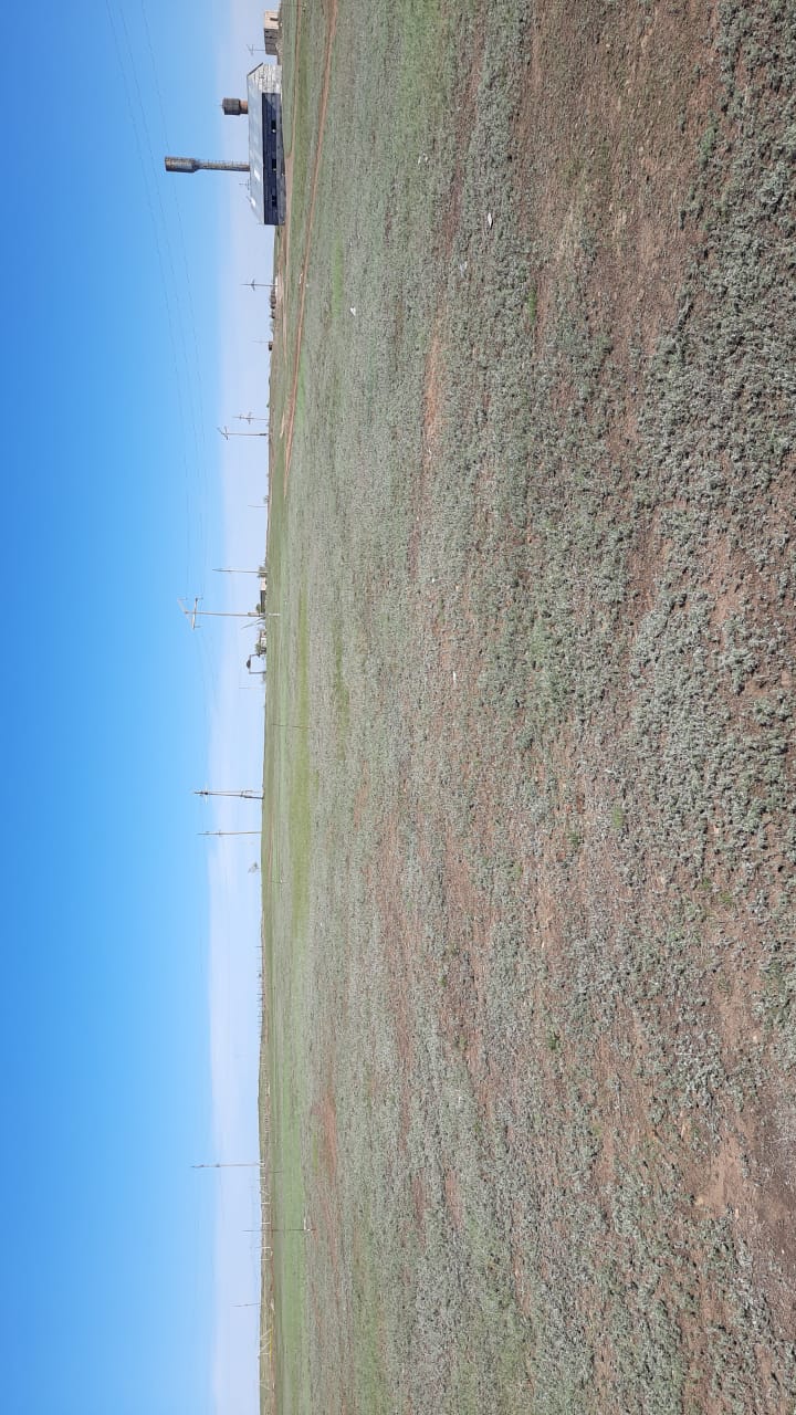 img-2
