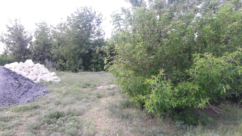 img-2