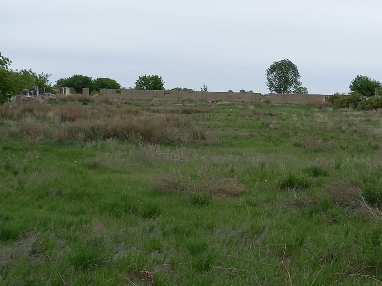 img-2