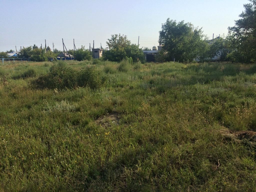 img-2