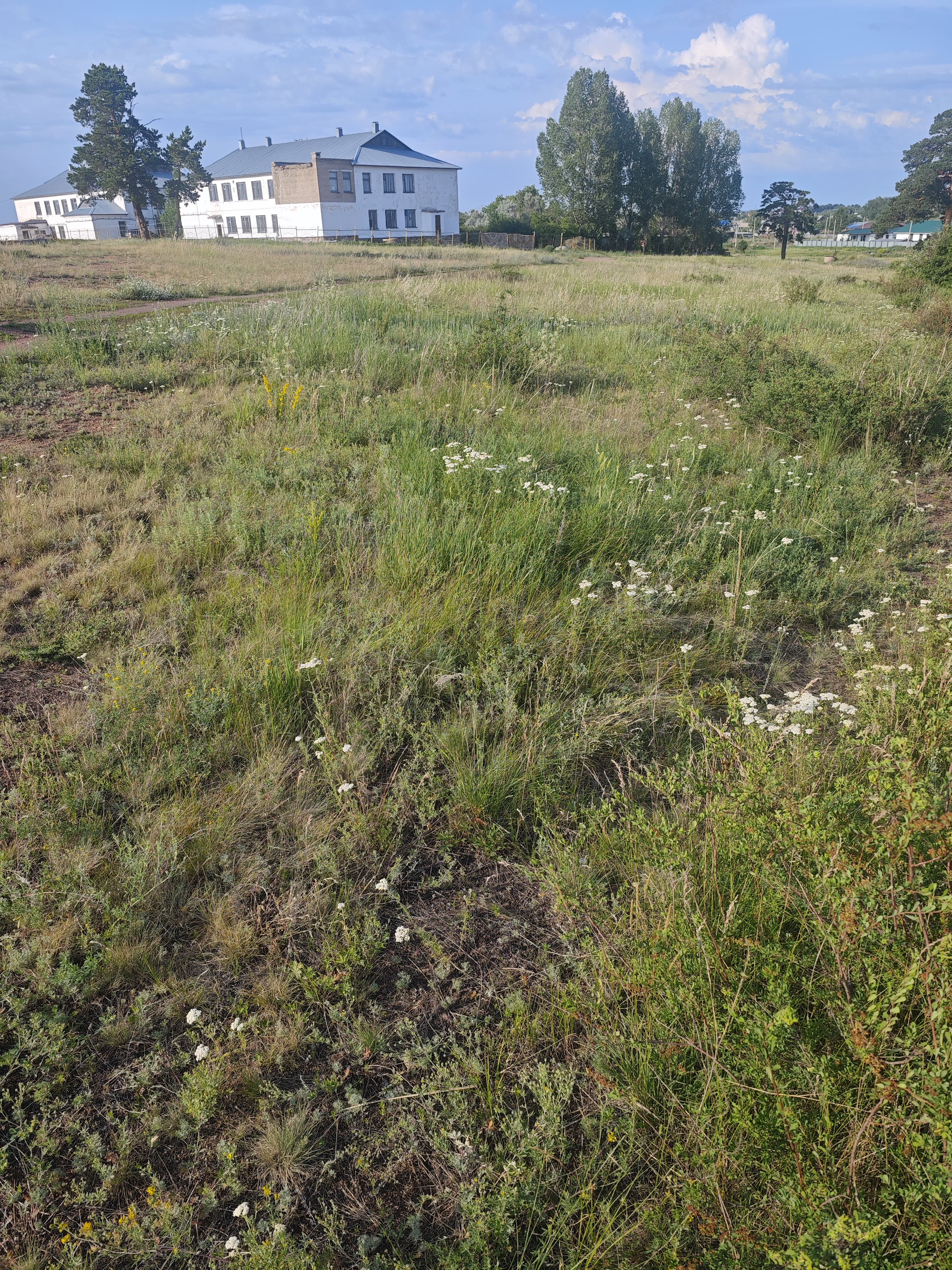 img-4