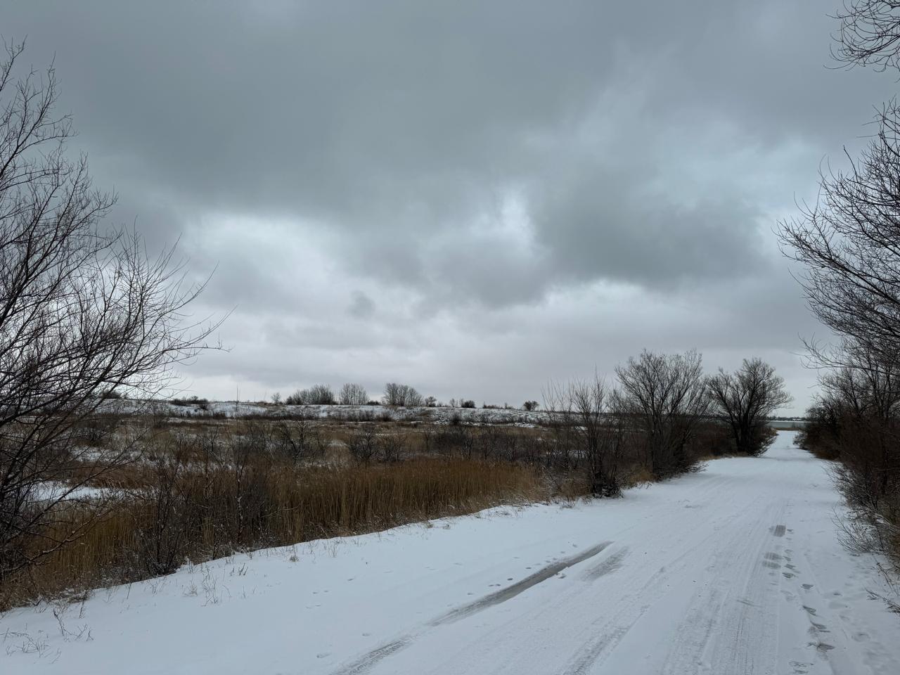 img-6